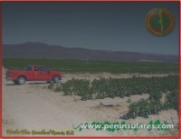 Rancho Hnos. Gonzalez, El Rosario, B.C.